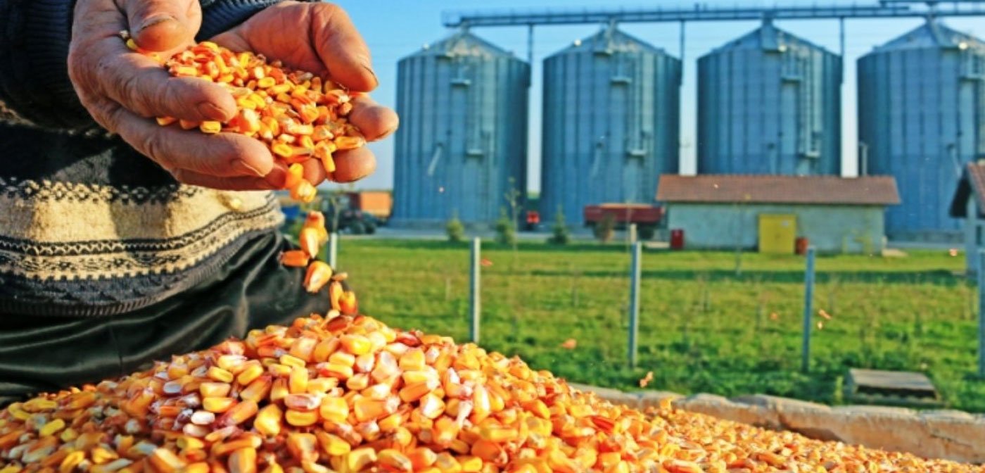 Food & Processing
